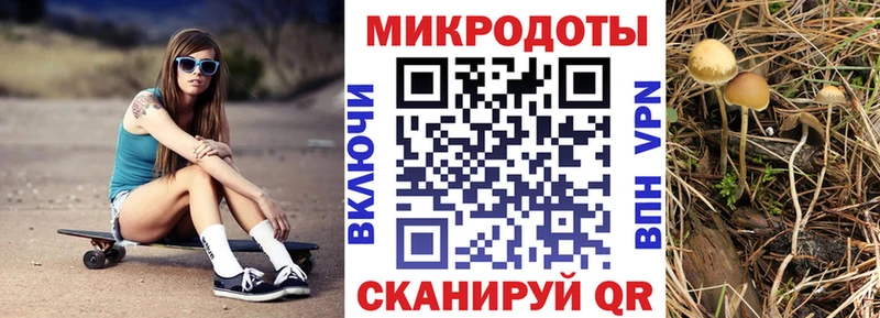 Галлюциногенные грибы мицелий  Купить где  Елабуга 